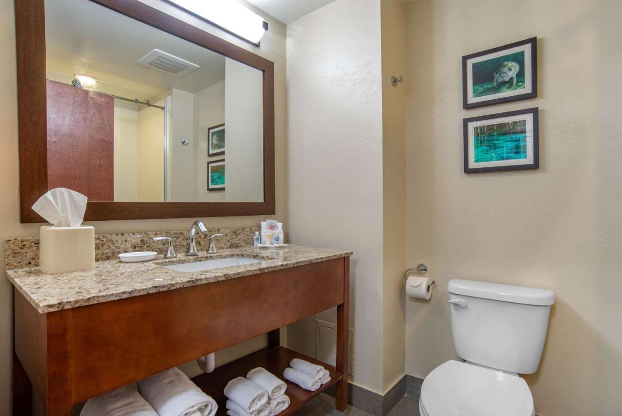 Comfort Suites Tallahassee Capitol - University Area 객실 사진
