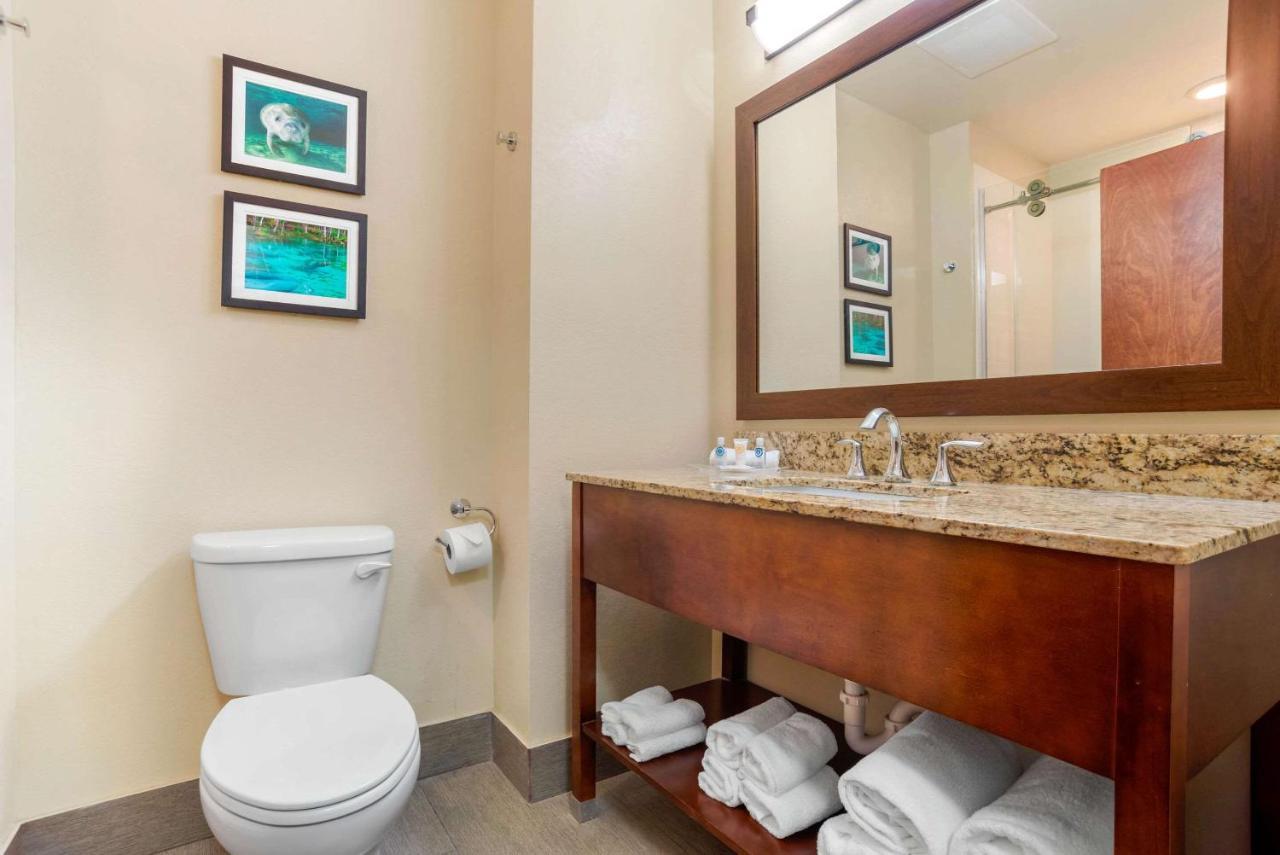 Comfort Suites Tallahassee Capitol - University Area 외부 사진